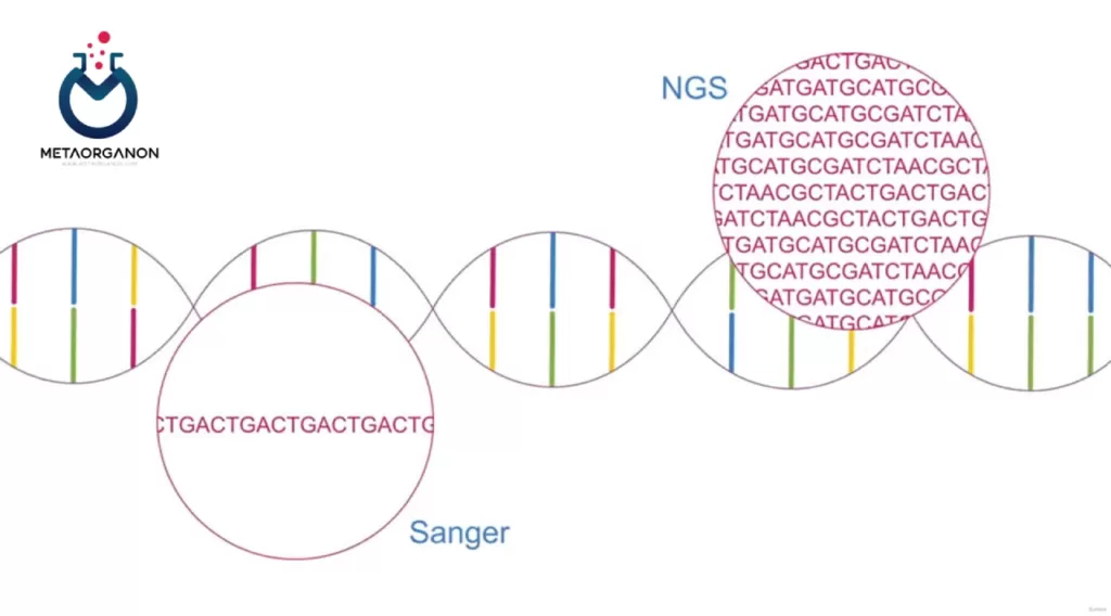 NGS | توالی یابی نسل بعدی | Next-generation sequencing | توالی یابی با توان بالا | High-throughput sequencing