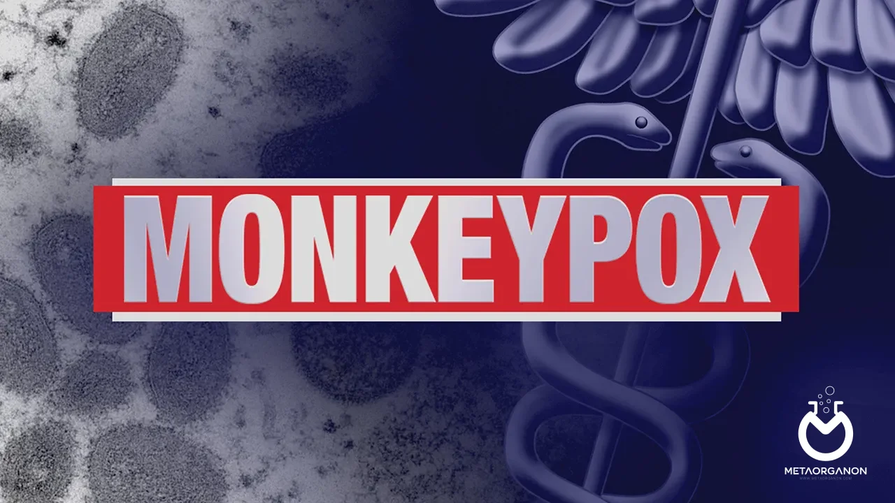 آبله میمون | Monkeypox
