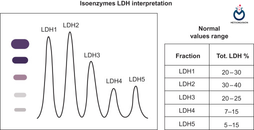 ایزوآنزیم لاکتات دهیدروژناز LDH