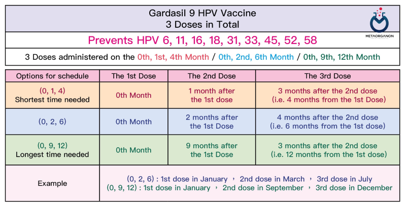 واکسن HPV گارداسیل 9 ظرفیتی باید در چند دوز تزریق گردد؟