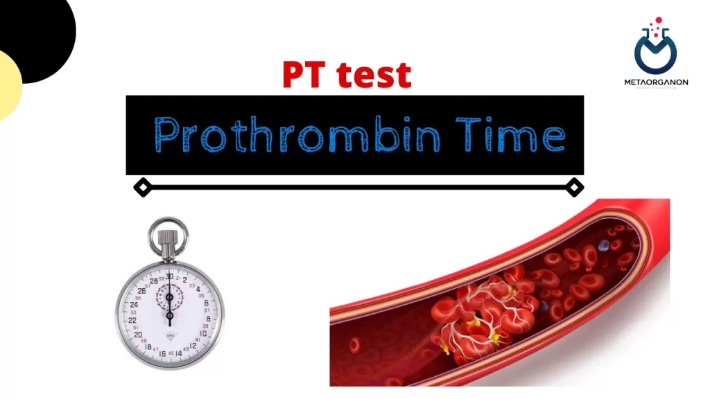 آزمایش زمان پروترومبین (PT) و نسبت نرمال شده بین المللی (INR) | Protime | Prothrombin time (PT) | International normalized ratio (INR)
