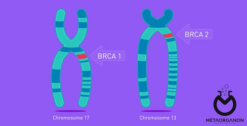اندیکاسیون های“BRCA1&2 gene mutations”