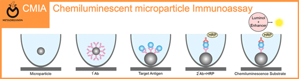 Chemiluminescent Microparticle Immunoassay (CMIA)