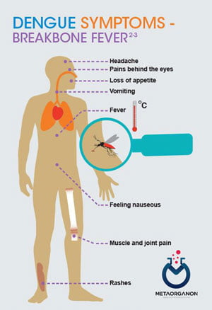 Dengue-symptoms