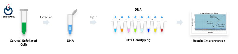 HPV-Real-Time-PCR