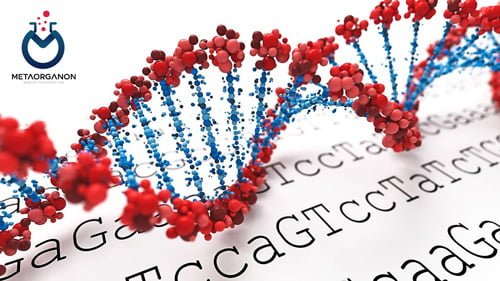 آزمایش های ژنتیکی برای درمان هدفمند سرطان