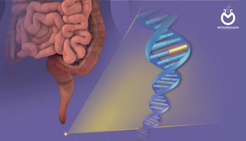 آزمایش DNA مدفوع | Stool DNA Test | کولوگارد | Cologuard