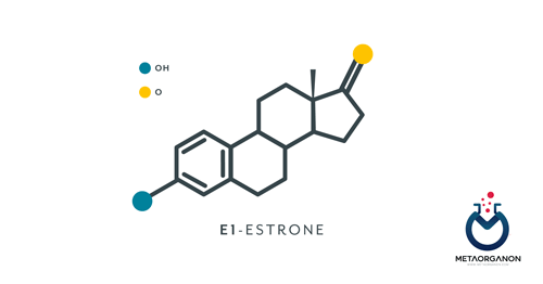آزمایش استروژن | استرون (E1) | استرادیول (E2) | استریول (E3)