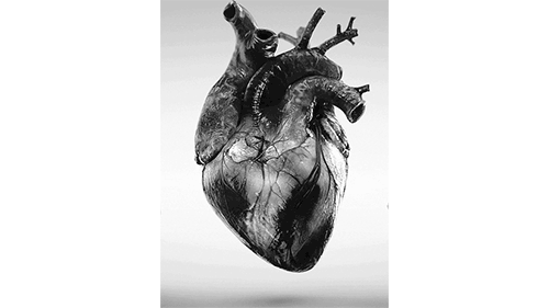 آزمایش بیومارکرهای قلبی | مارکرهای قلبی