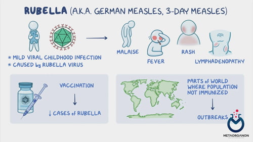 آزمایش آنتی بادی سرخجه | Rubella | سرخک آلمانی | سرخک سه روزه | German Measles