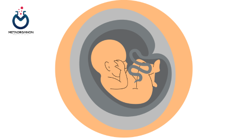 آزمایش غربالگری سه ماهه دوم بارداری | Maternal Screening Second Trimester | تست کواد