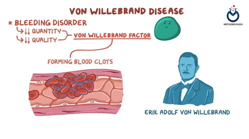 آزمایش فاکتور ون ویلبراند (vWF) | کوفاکتور ریستوستین | آنتی ژن و فعالیت فاکتور ون ویلبراند | von Willebrand Factor