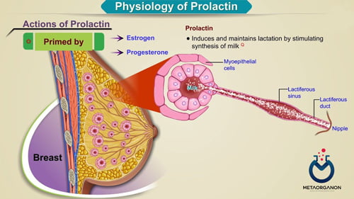 آزمایش پرولاکتین (PRL) | Prolactin