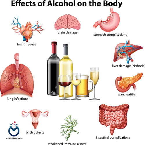 اثرات الکل بر بدن