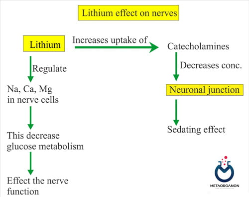اثرات-لیتیم-بر-سلول-های-عصبی