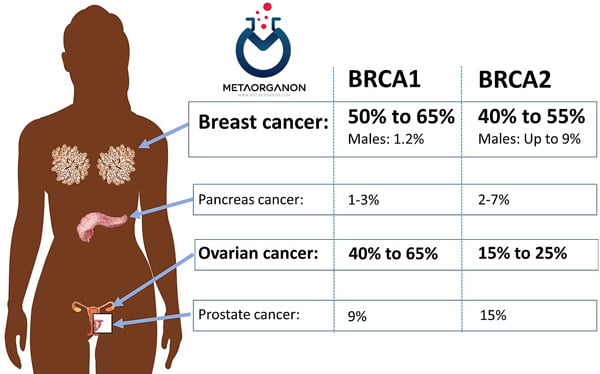 مقایسه-ارزش-تعیین-ژن-موتانت-های-BRCA1&2-درمردان