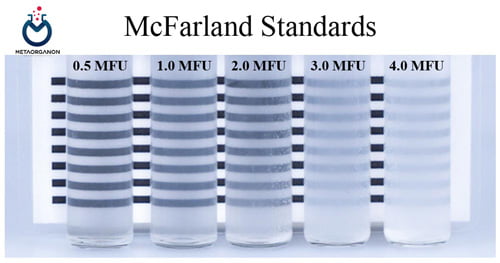 استاندارد مک فارلند
