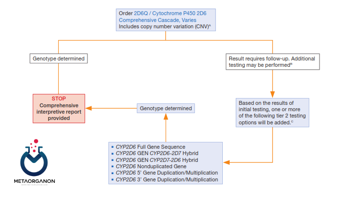 الگوریتم تشخیصی ژن CYP2D6