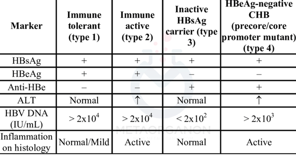 انواع مختلف عفونت هپاتیت B