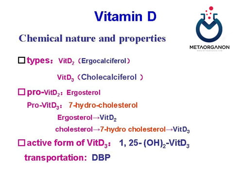 انواع-ویتامین-D