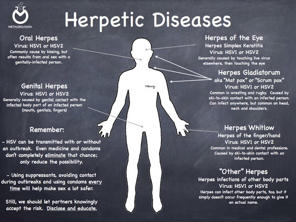 بیماری های مرتبط با HSV 