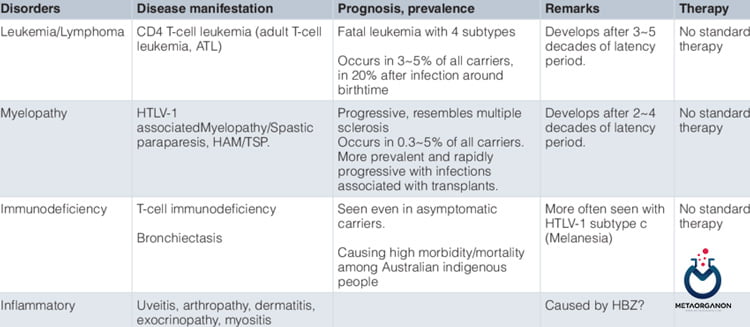 بیماری های مرتبط با HTLV