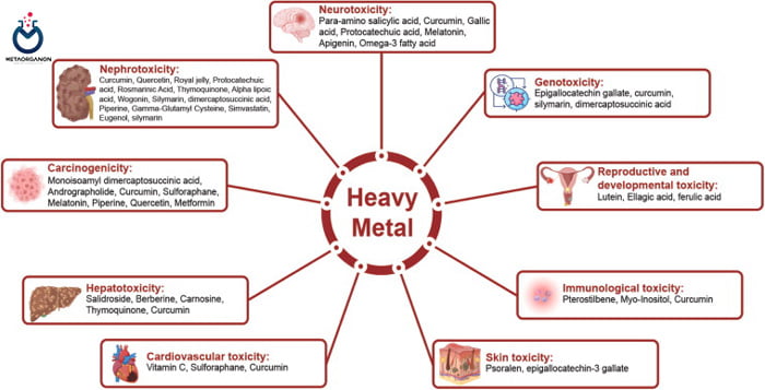 تاثیر فلزات سنگین برای بدن