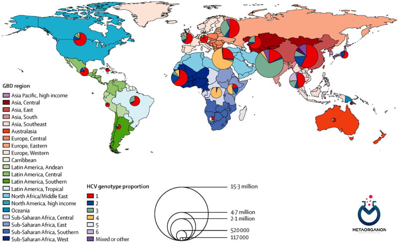 توزیع جهانی ژنوتیپ های HCV