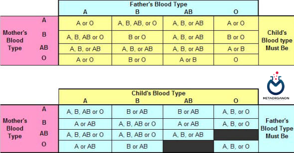  جدول تعیین گروه خونی فرزند بر اساس گروه خونی پدر و مادر