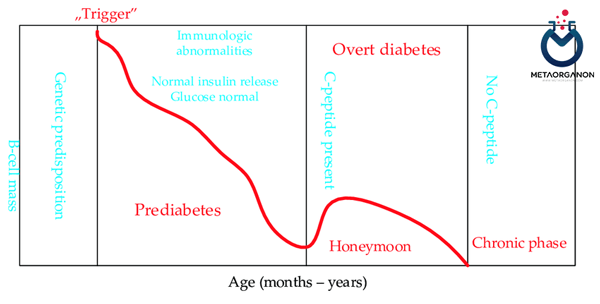 دوره ماه عسل [Honeymoon Period] در دیابت نوع 1