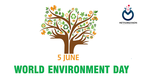 روز جهانی محیط زیست | International day of environment