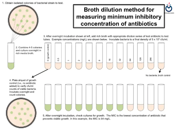 روش رقیق سازی براث برای آزمایش حساسیت آنتی بیوتیکی