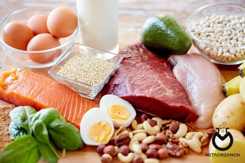 رژیم-غذایی-پر-پروتئین