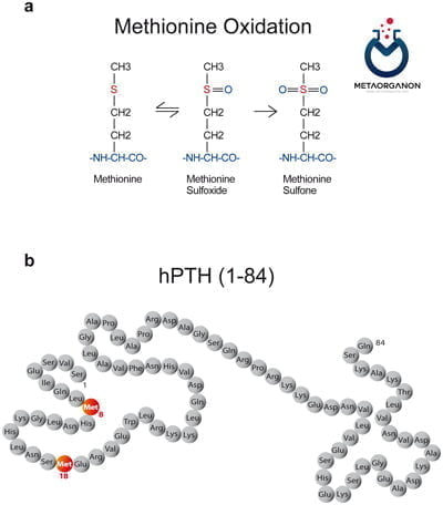 ساختار هورمون پاراتیروئید (PTH)