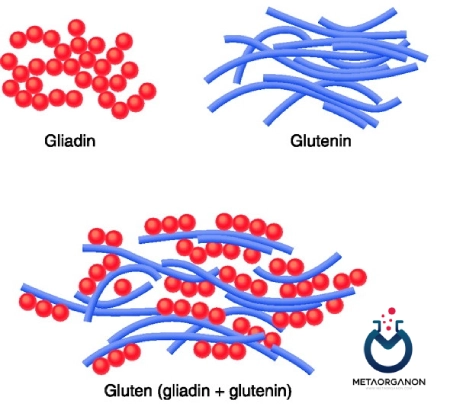 Gliadin
