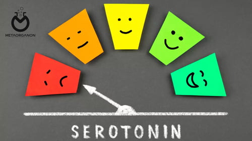 آزمایش سروتونین (Serotonin Test) | 5-هیدروکسی تریپتامین | 5-HT