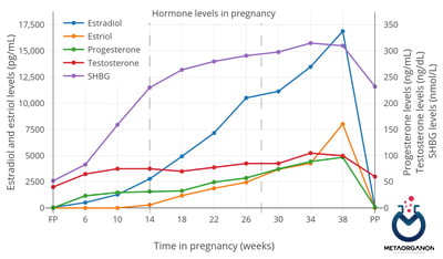 سطح هورمون ها در دوران بارداری