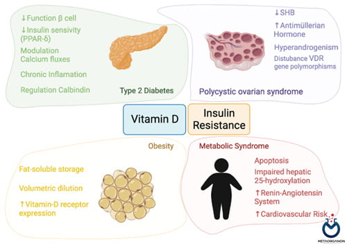 سندرم تخمدان پلی کیستیک (PCOS) و مقاومت به انسولین