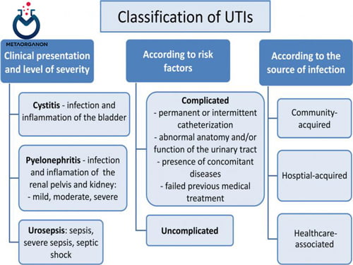 طبقه بندی عفونت مجاری ادراری (UTI)