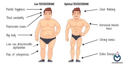علائم کاهش تستوسترون در مردان