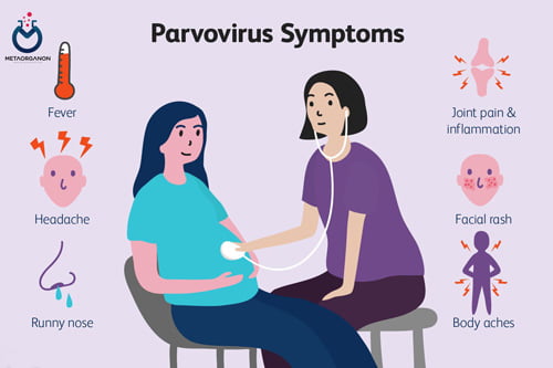 علایم عفونت با پاروویروس