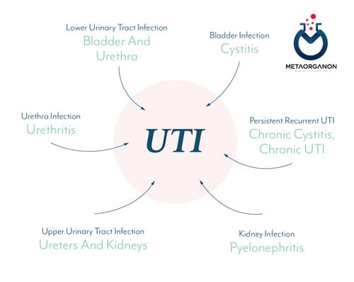 عوامل ایجاد کننده UTI