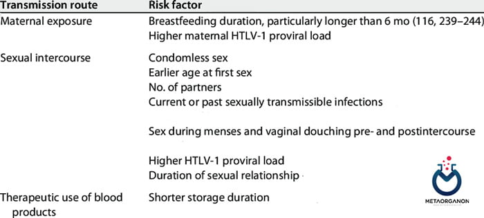 عوامل خطر برای انتقال عفونت HTLV