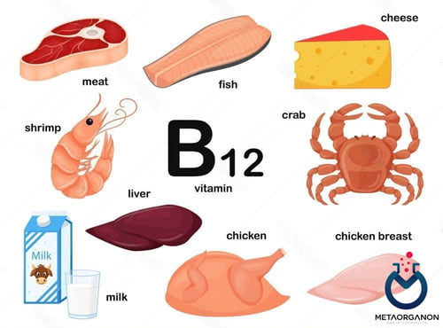 غذاهای-حاوی-ویتامین-B12