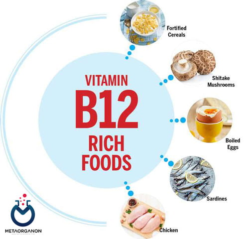 منابع ویتامین B12 (کوبالامین)