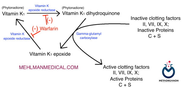 وارفارین و اثرات آن روی ویتامین K