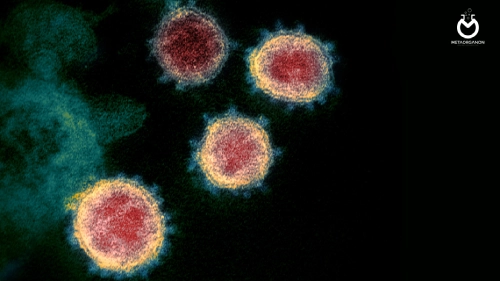ویروس SARS-CoV2 | کروناویروس | سندرم حاد تنفسی کرونا ویروس 2 | بیماری کووید 19 | Covid 19 disease