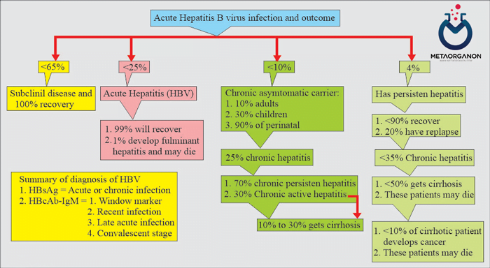 پیامد احتمالی عفونت ویروس هپاتیت B (HBV).