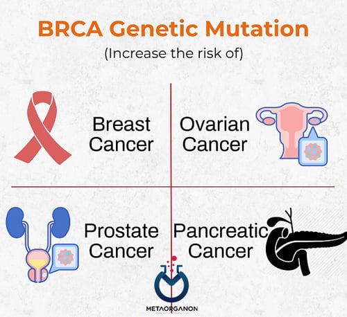 ژن BRCA1 و BRCA2 و ارتباط آنها با سرطان ها